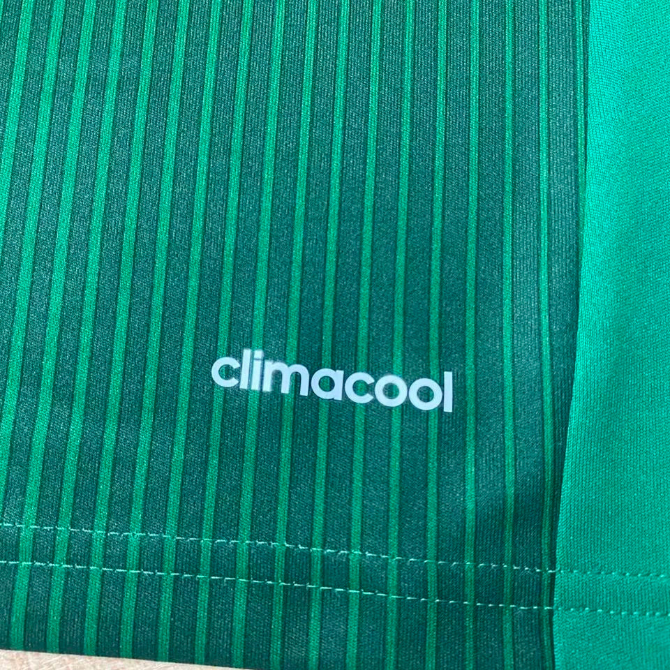 2014 Mexico Home Green Retro Long Sleeve Soccer Jersey Detail 4