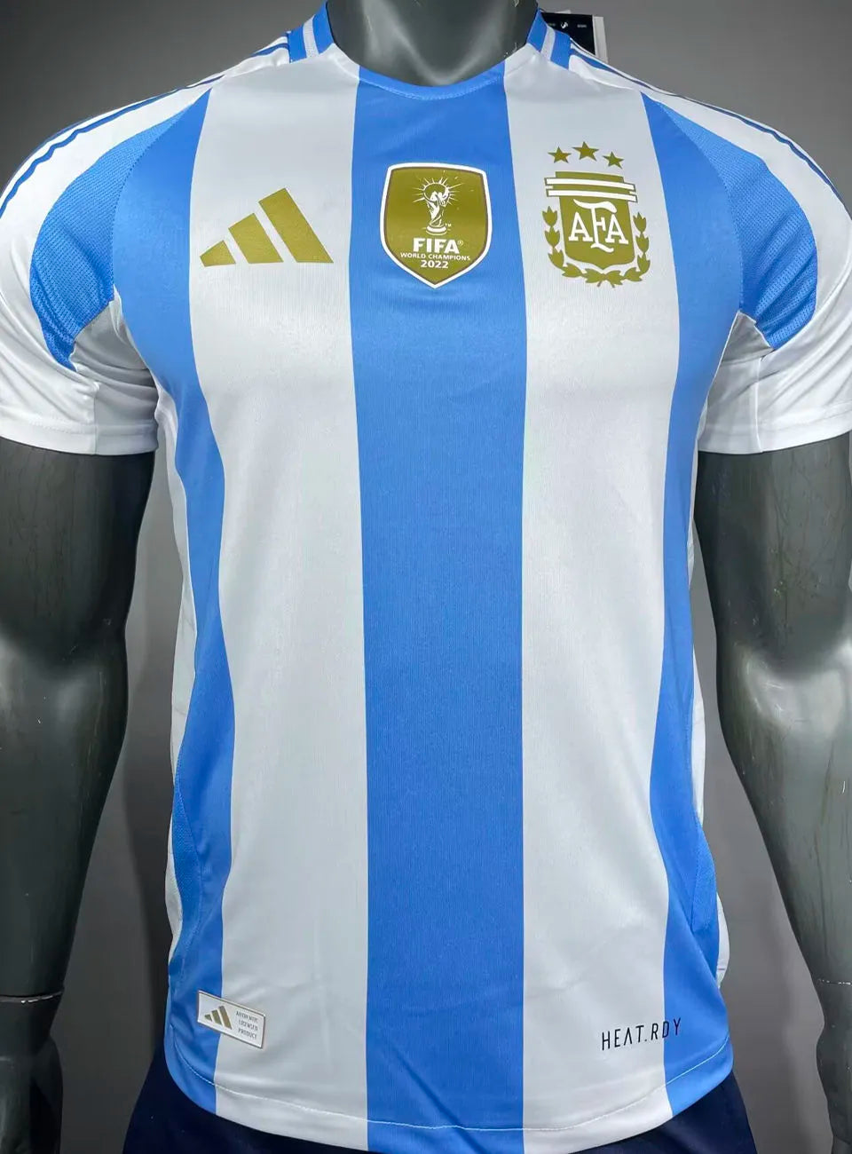 2024/25 Argentina Home Player Version Soccer Jersey (Have FlFA World Champion 2022 有胸前章) Front