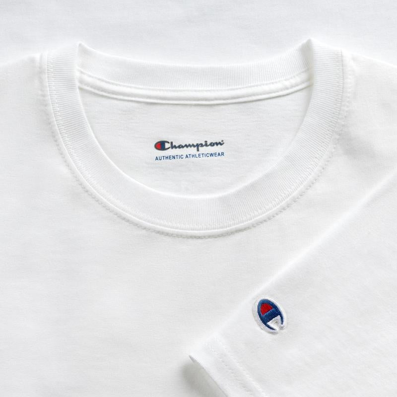 (RU) Dagestan Flag in (RU) Dagestan Map DA