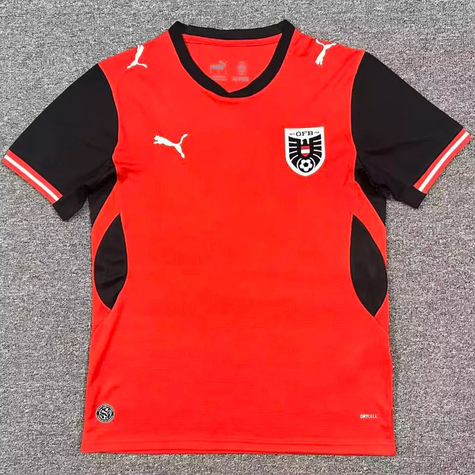 2025/26 Armenia Third Fans Soccer Jersey Detail 4