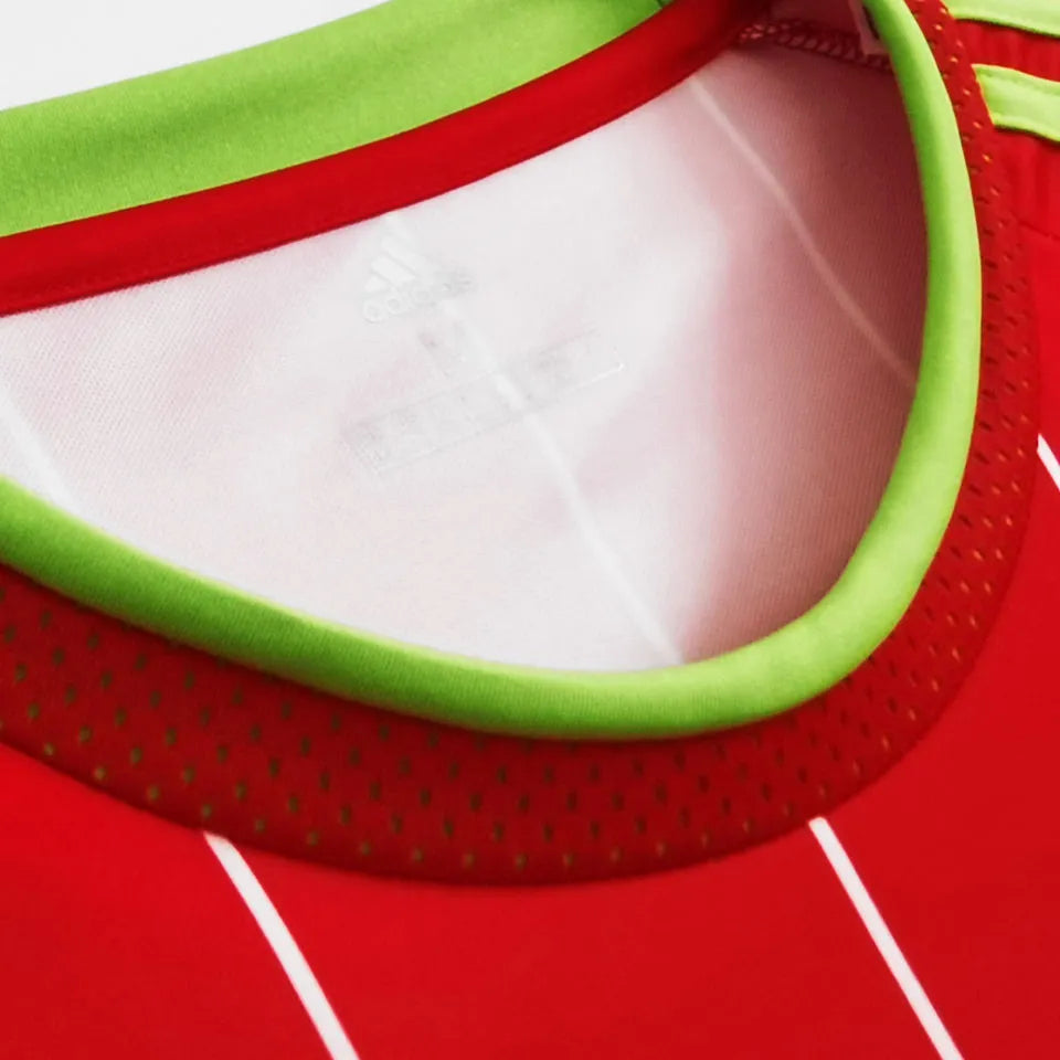 2015/16 Wales Home Red Retro Soccer Jersey Detail 2