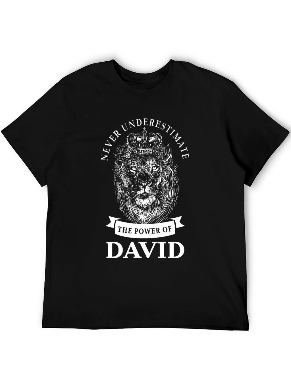 Never Underestimate David Lion T-Shirt