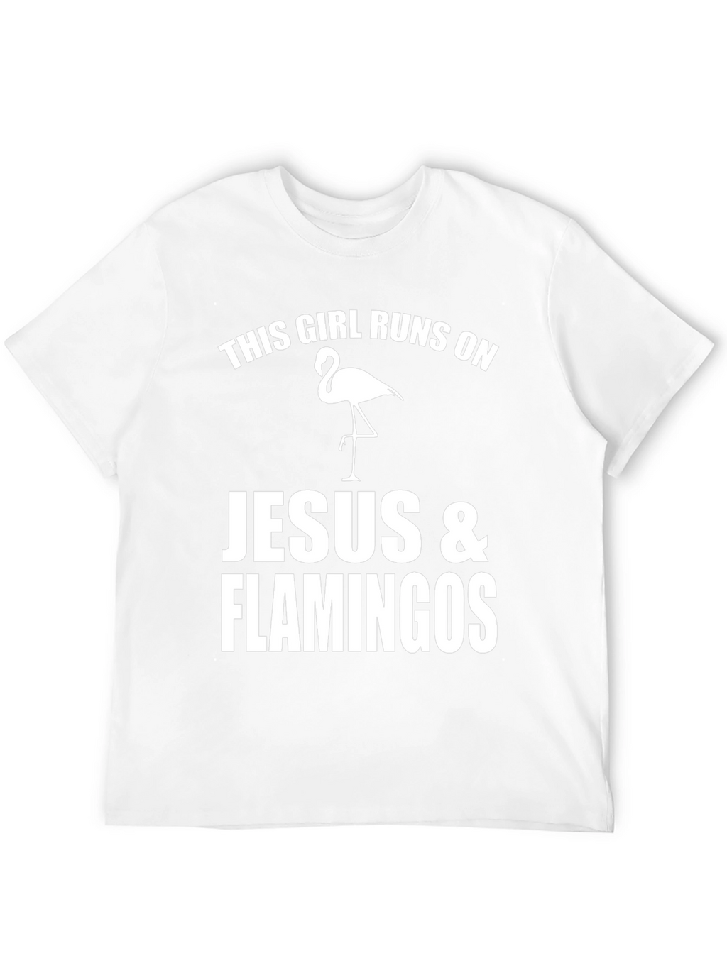 Funny Girls Jesus & Flamingos Graphic T-Shirt