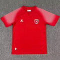 2026/27 Jordan Away Red Fans Soccer Jersey Item NO.: 2152609 Front
