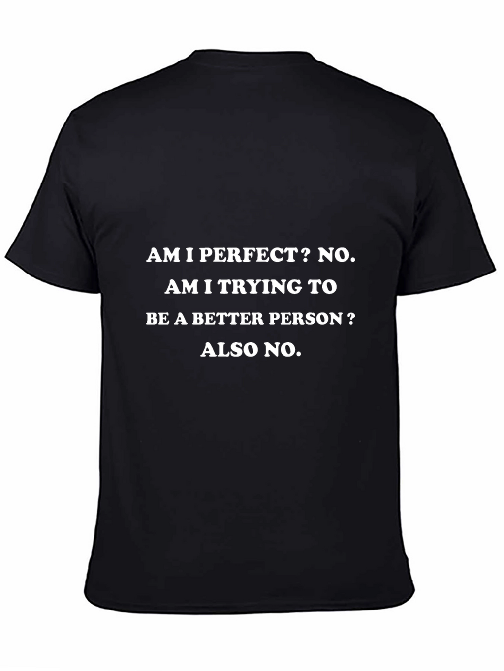 Am I Perfect? Funny Sarcastic T-Shirt